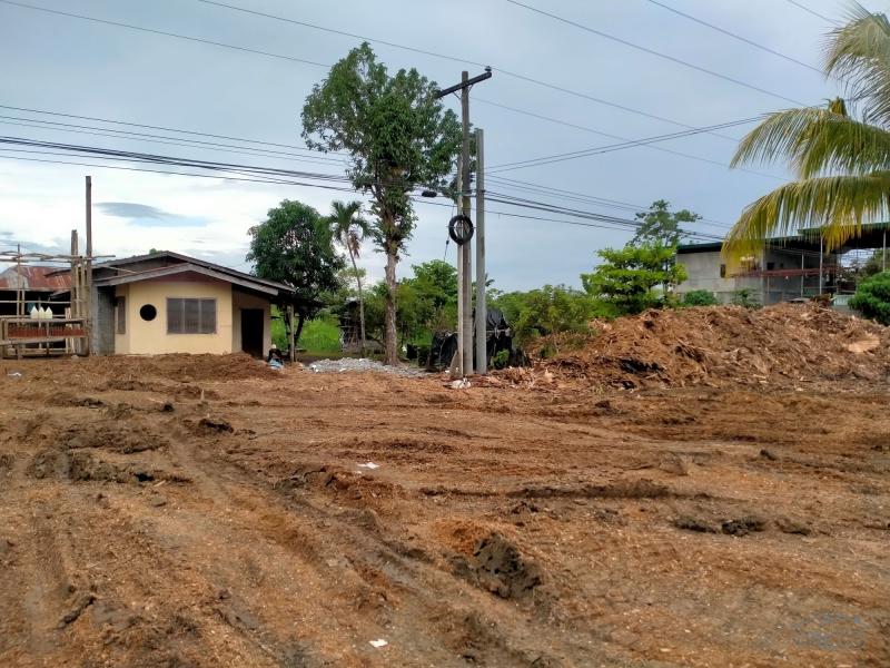 Picture of Commercial Lot for sale in Panabo in Philippines
