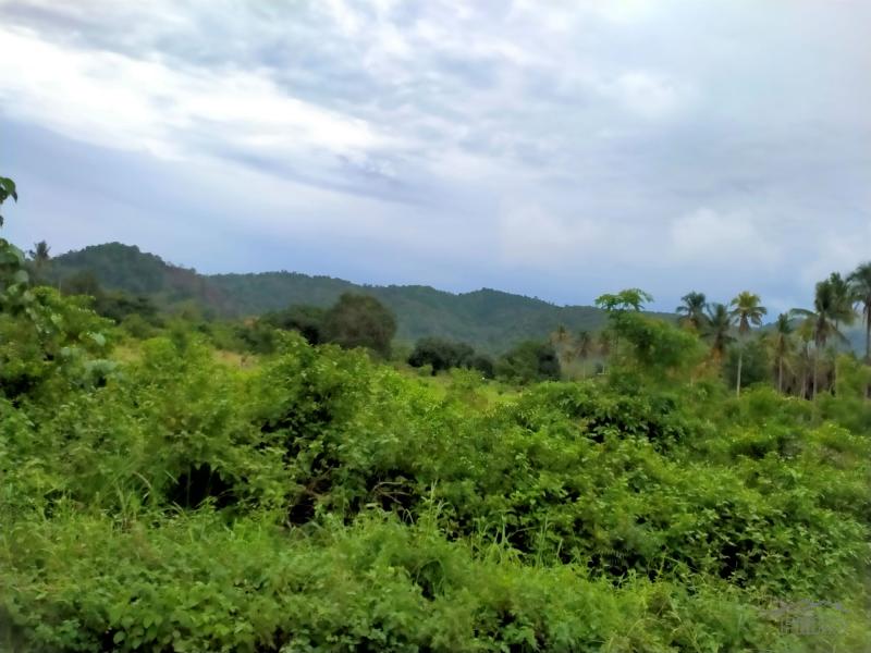 Picture of Residential Lot for sale in San Isidro