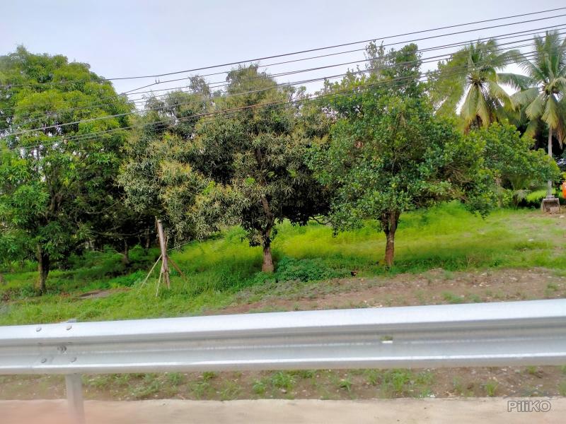 Picture of Commercial Lot for sale in Panabo