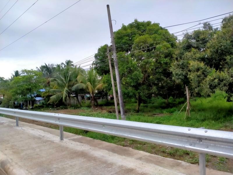 Commercial Lot for sale in Panabo - image 2