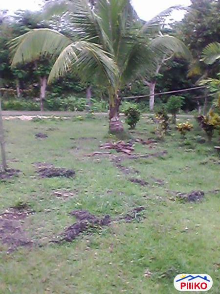 Pictures of Other lots for sale in Tagbilaran City
