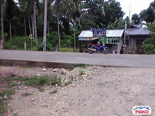 Other lots for sale in Tagbilaran City in Philippines