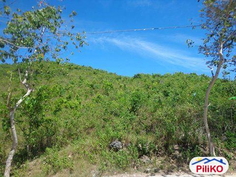 Picture of Residential Lot for sale in Cebu City