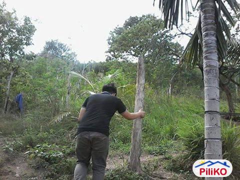 Residential Lot for sale in Cebu City - image 2