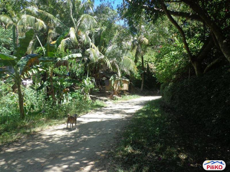 Residential Lot for sale in Cebu City