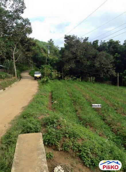 Agricultural Lot for sale in Cebu City - image 2