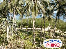 Agricultural Lot for sale in Cebu City - image 3