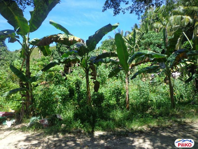Residential Lot for sale in Cebu City in Cebu