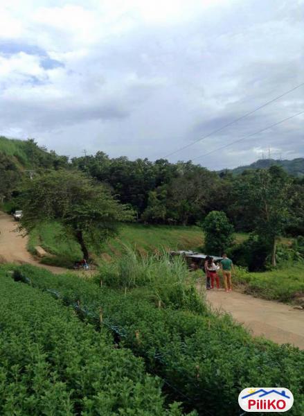 Agricultural Lot for sale in Cebu City - image 3