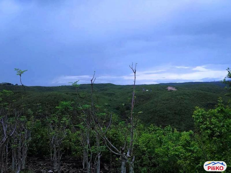 Residential Lot for sale in Cebu City in Cebu