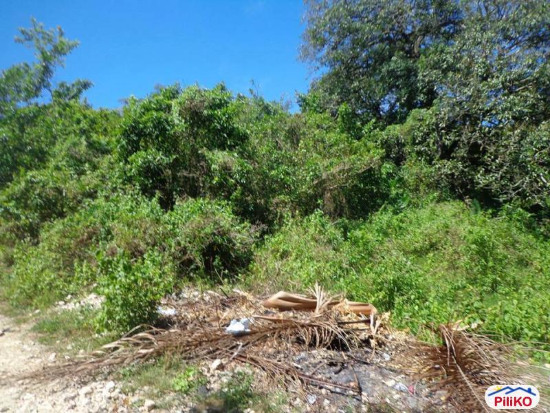 Residential Lot for sale in Cebu City in Philippines