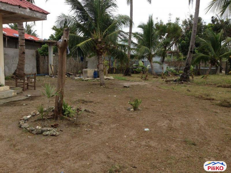 Commercial Lot for sale in Cebu City - image 9