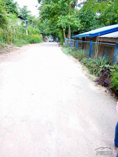 Pictures of Lot for sale in Compostela