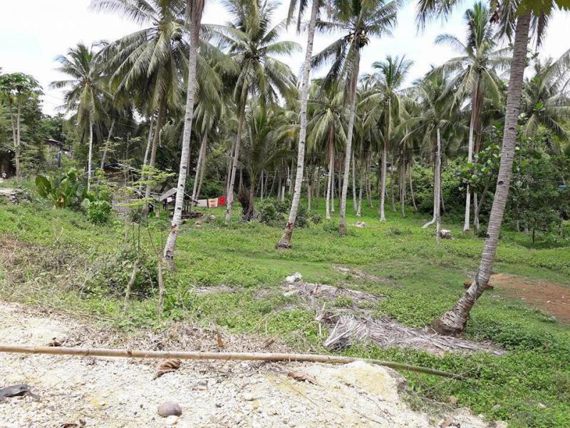 Lot for sale in Compostela - image 2