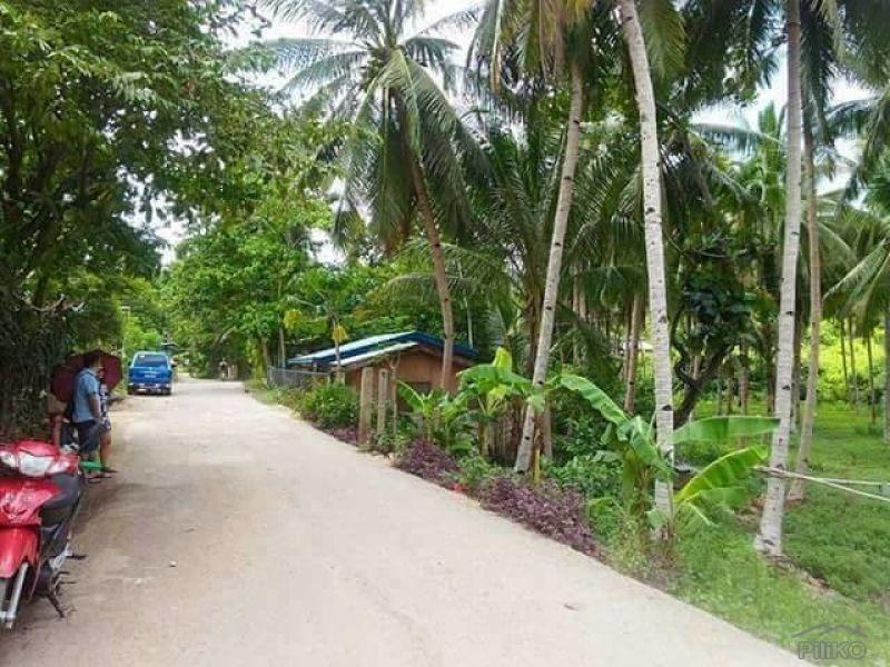 Lot for sale in Compostela in Philippines