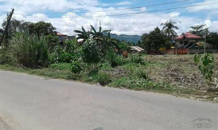 Residential Lot for sale in Danao - image 2