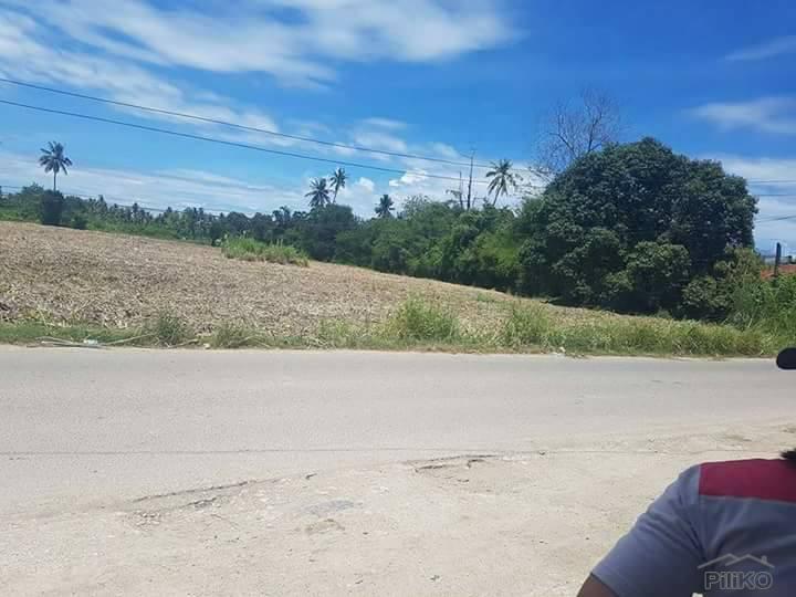 Residential Lot for sale in Danao - image 3
