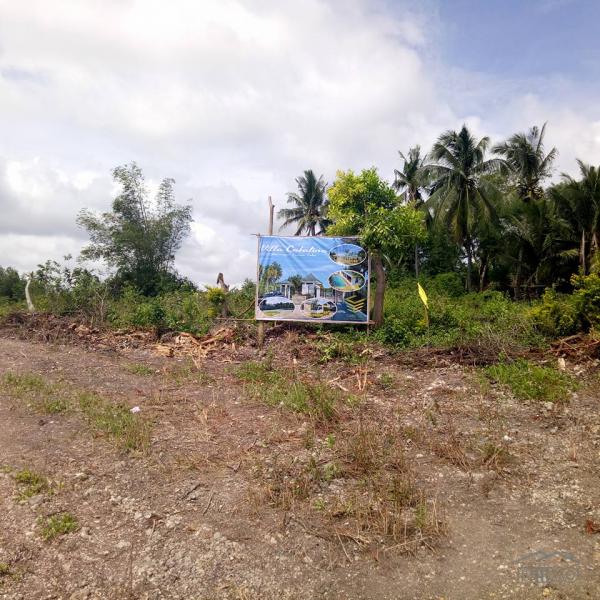 Picture of Lot for sale in Carcar