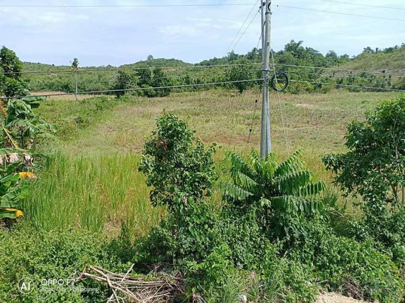 Residential Lot for sale in Bogo - image 3