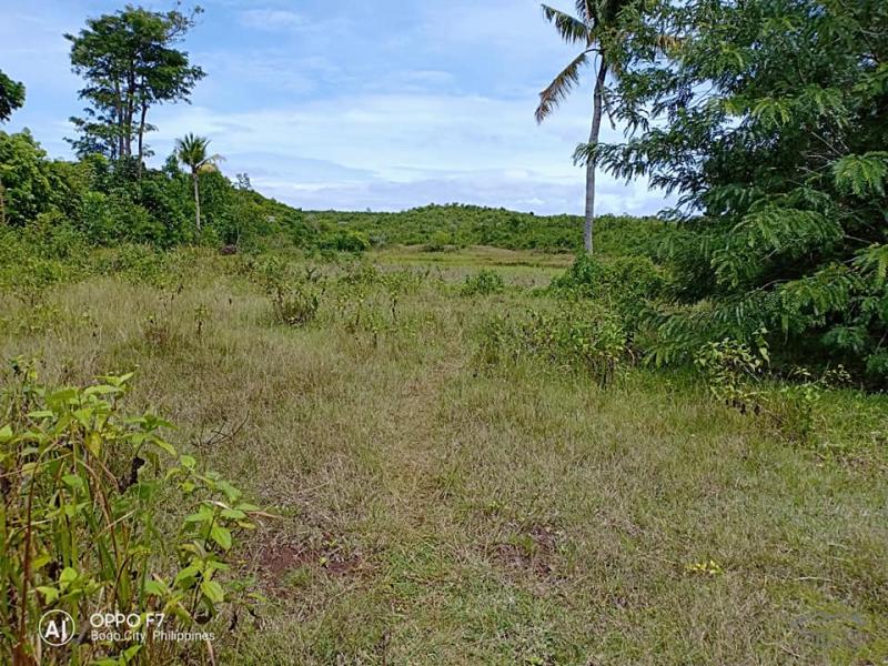 Residential Lot for sale in Bogo in Philippines - image
