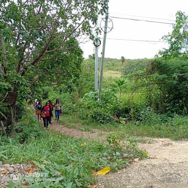 Residential Lot for sale in Bogo