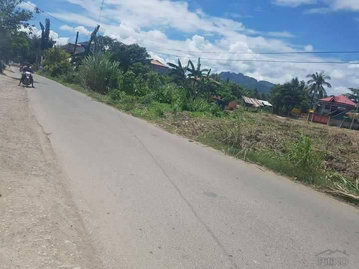 Residential Lot for sale in Danao - image 4