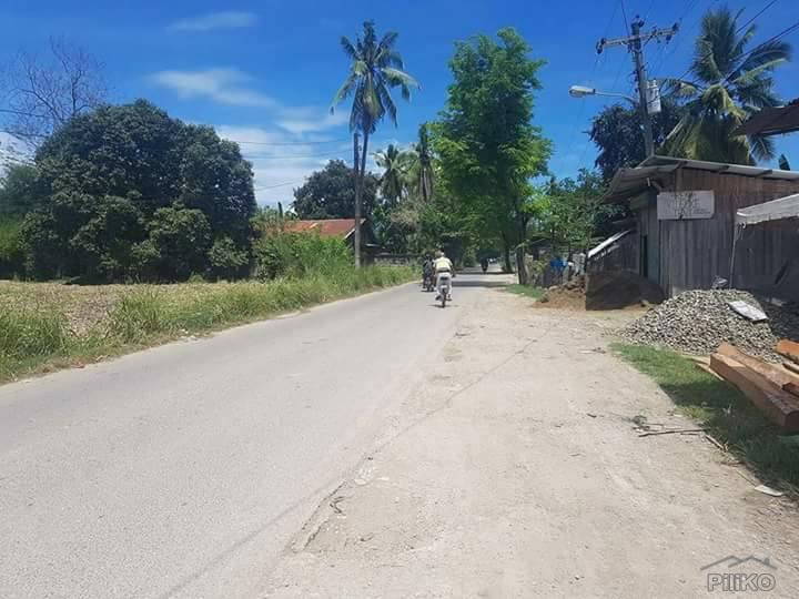 Picture of Residential Lot for sale in Danao in Cebu