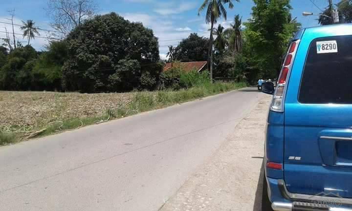 Picture of Residential Lot for sale in Danao in Philippines
