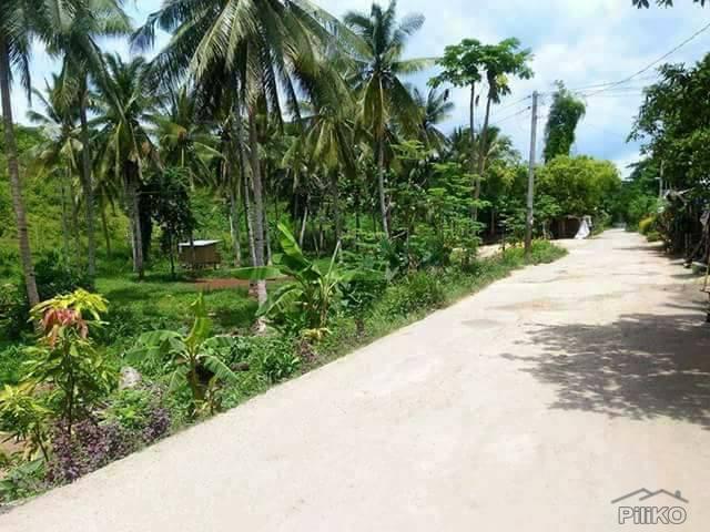 Commercial Lot for sale in Compostela - image 2