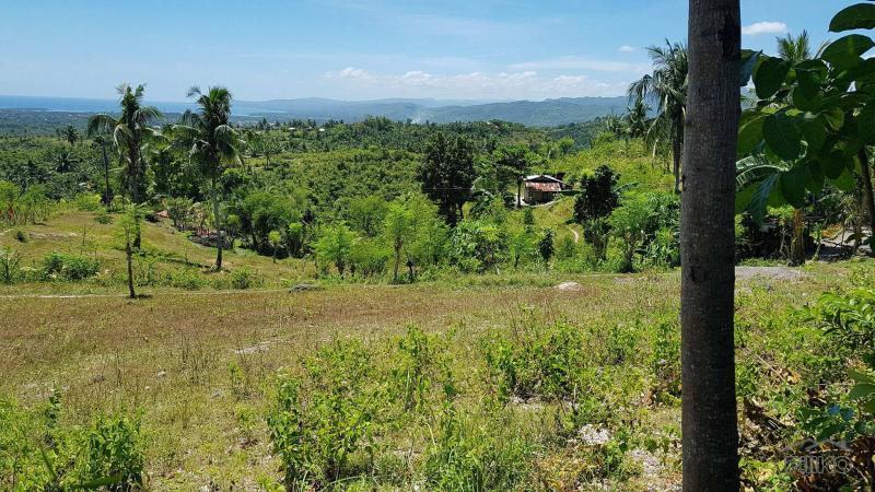 Residential Lot for sale in Carcar - image 10