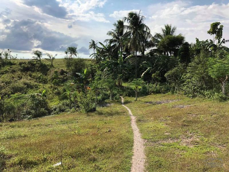 Residential Lot for sale in Carcar - image 11