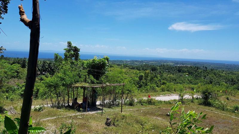 Residential Lot for sale in Carcar - image 12