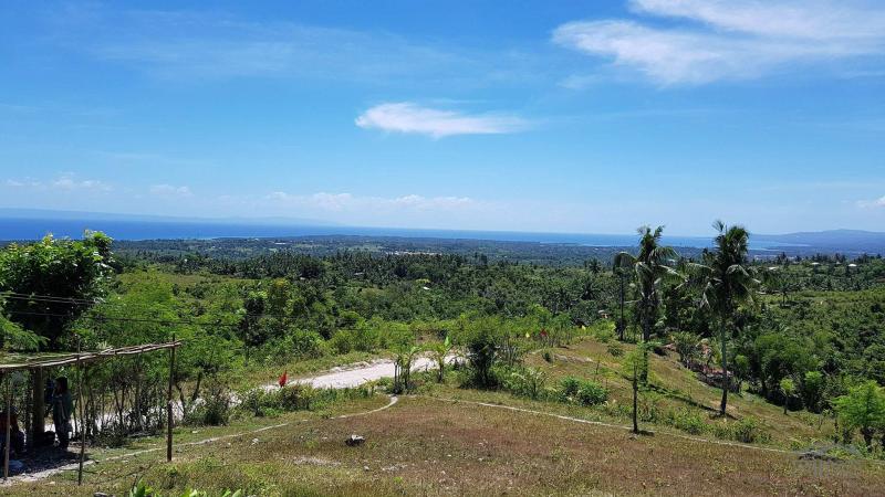 Pictures of Residential Lot for sale in Carcar