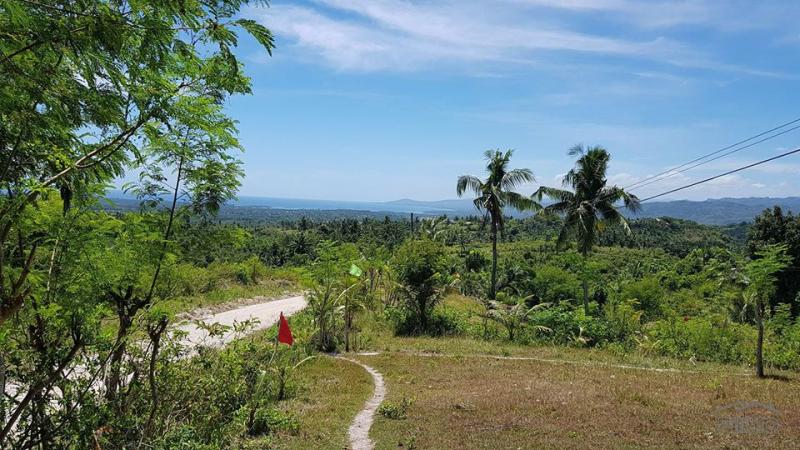 Residential Lot for sale in Carcar - image 9