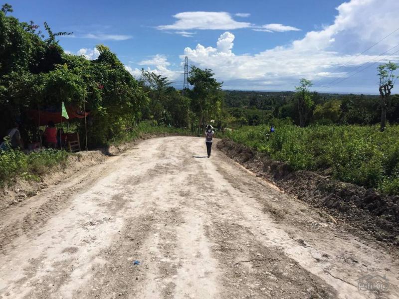 Lot for sale in Carcar - image 10