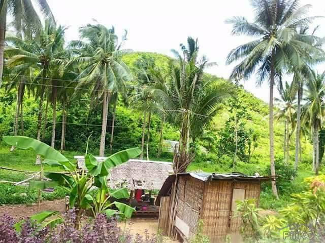 Commercial Lot for sale in Compostela - image 7