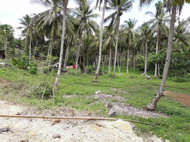 Commercial Lot for sale in Compostela in Philippines - image