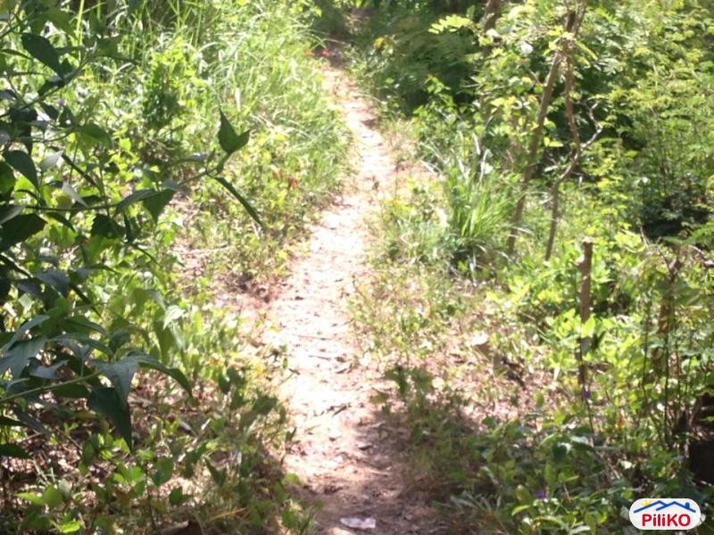 Residential Lot for sale in Consolacion - image 10