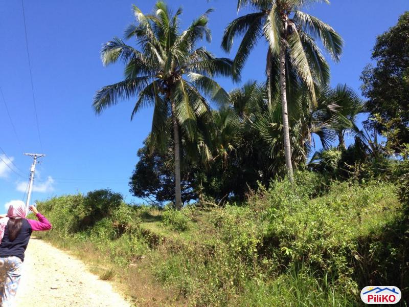 Agricultural Lot for sale in Consolacion - image 10