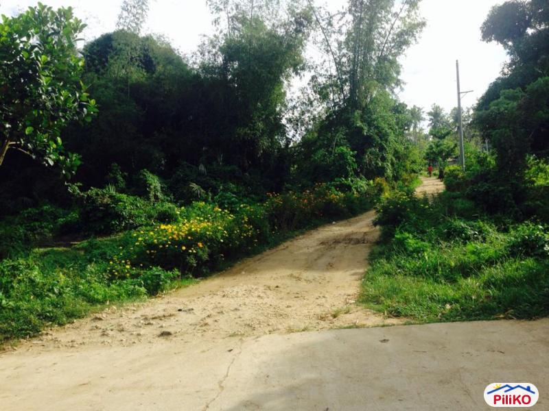 Residential Lot for sale in Consolacion - image 10