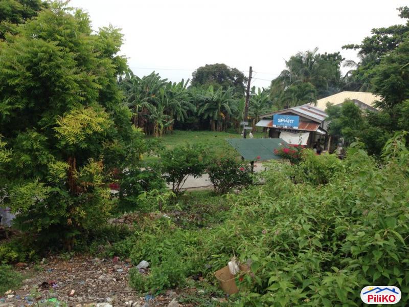 Commercial Lot for sale in Consolacion - image 10