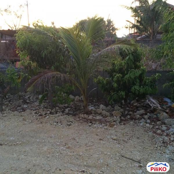 Residential Lot for sale in Consolacion - image 10
