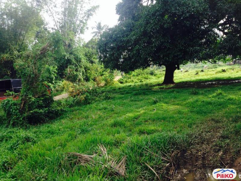 Residential Lot for sale in Consolacion - image 11