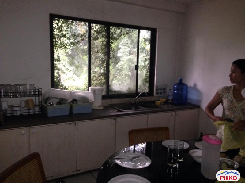 Agricultural Lot for sale in Consolacion - image 11