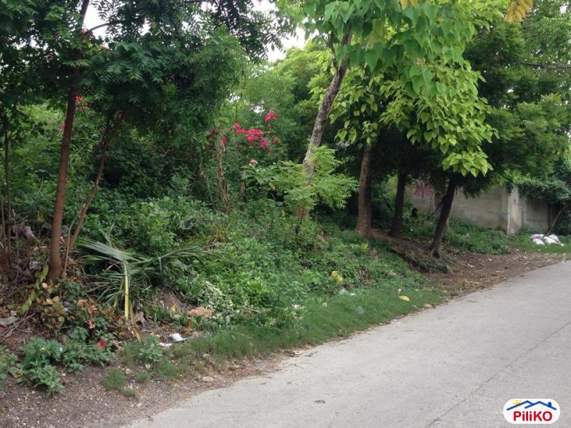 Commercial Lot for sale in Consolacion - image 11