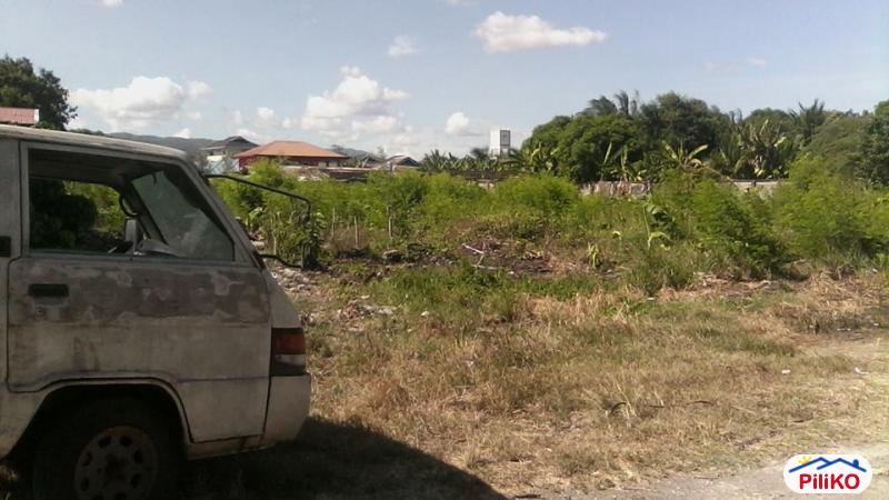 Residential Lot for sale in Consolacion - image 11
