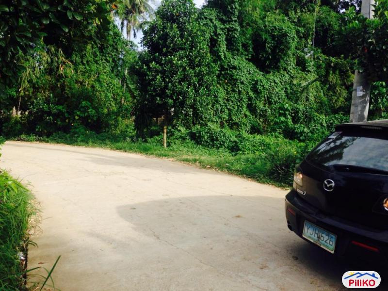 Residential Lot for sale in Consolacion - image 12