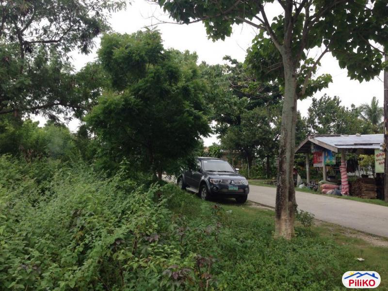 Commercial Lot for sale in Consolacion - image 12