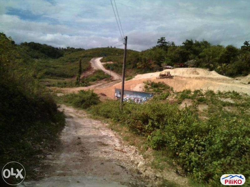 Residential Lot for sale in Consolacion - image 12