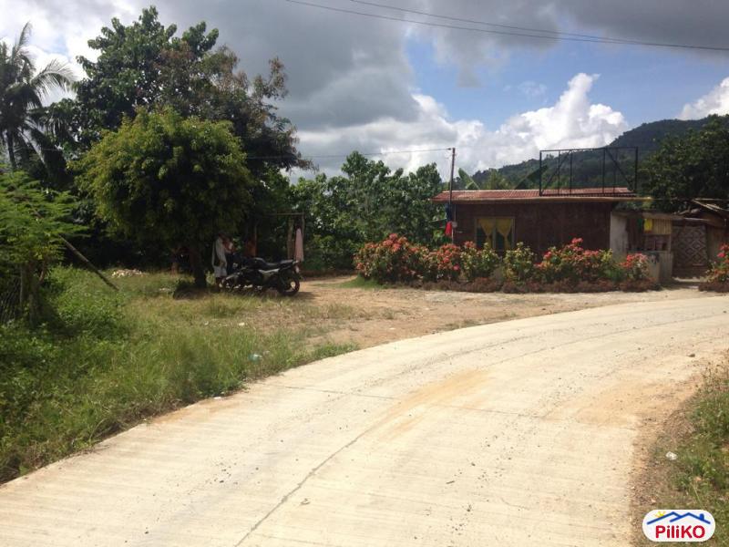 Pictures of Residential Lot for sale in Consolacion